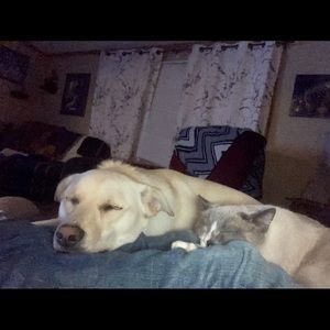 Meet your Posher, Pam